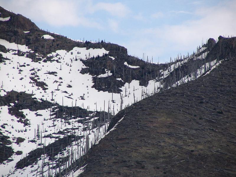 Mount St.Helens (12).JPG